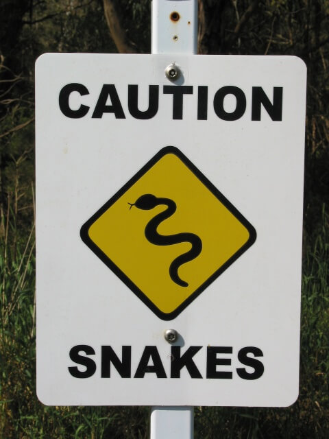 Snakes - Safety advice from Alma St Vet Hospital