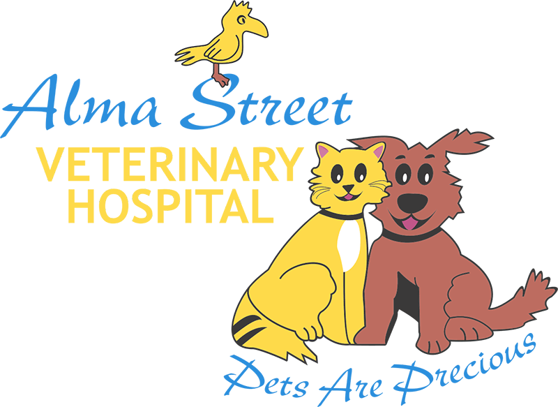 pets hospital