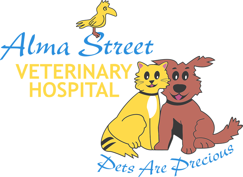 all cats and dogs veterinary clinic