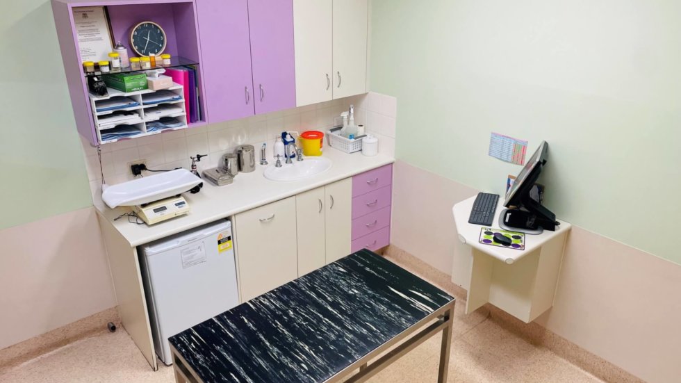 Consultations Expert and friendly at Alma St Veterinary Hospital